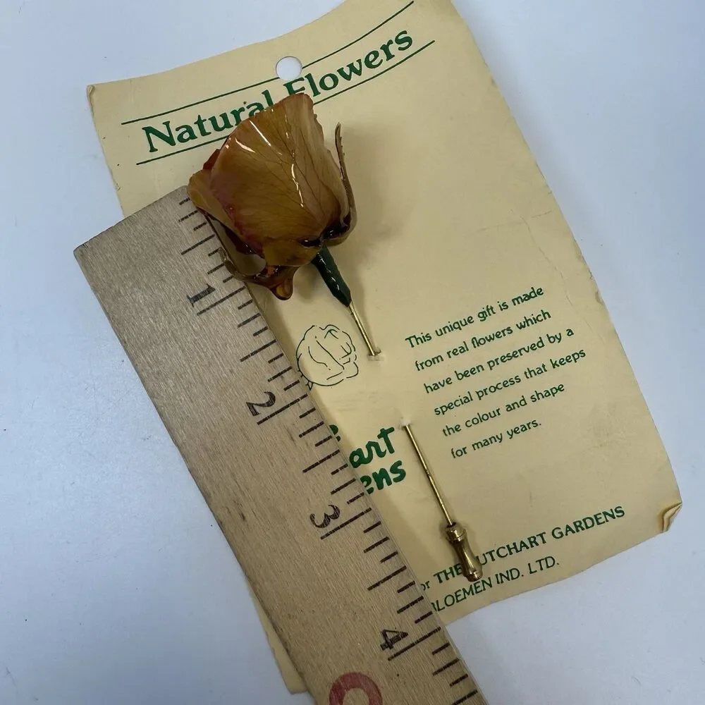 Vintage The Butchart Gardens Natural Preserved Rose Stick Pin Brooch New